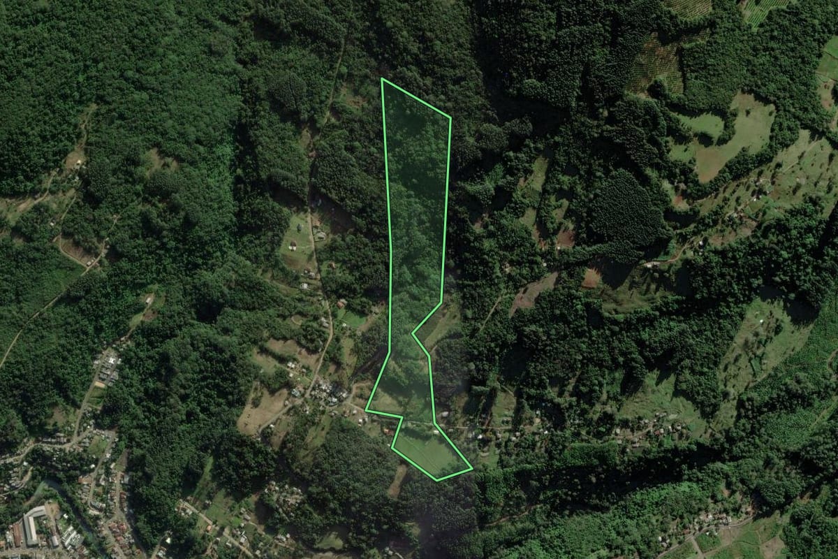 Imagem de satélite do imóvel rural em Riozinho (RS), com o contorno declarado no CAR desenhado por cima.