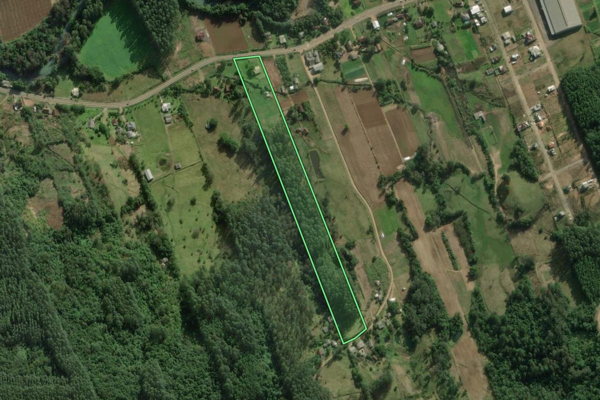 Imagem de satélite do imóvel rural em Riozinho (RS), com o contorno declarado no CAR desenhado por cima.