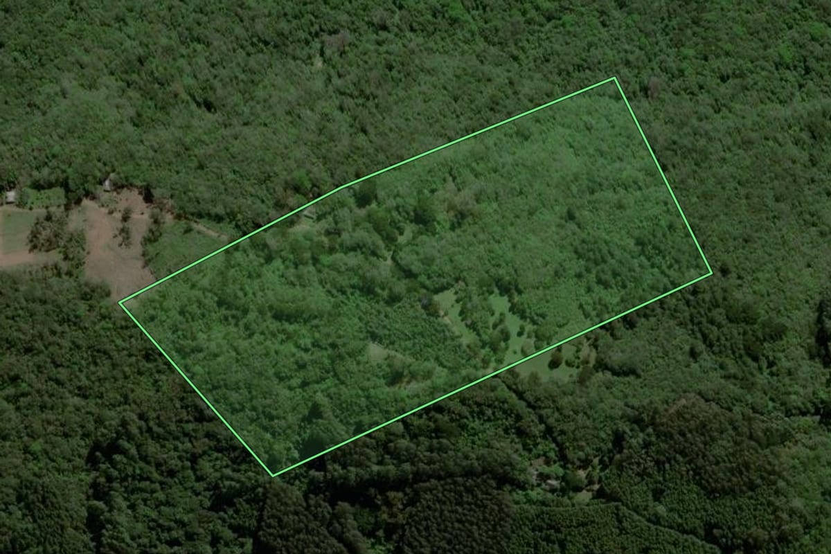 Imagem de satélite do imóvel rural em Riozinho (RS), com o contorno declarado no CAR desenhado por cima.