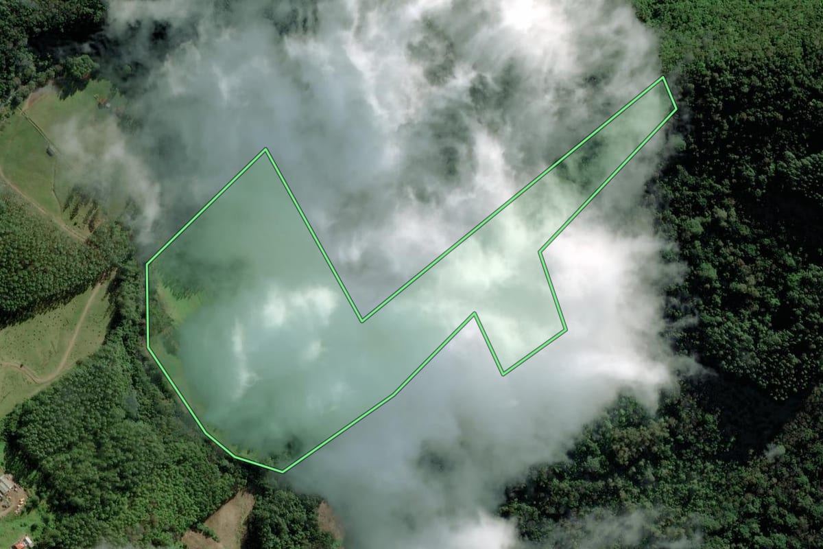Imagem de satélite do imóvel rural em Riozinho (RS), com o contorno declarado no CAR desenhado por cima.