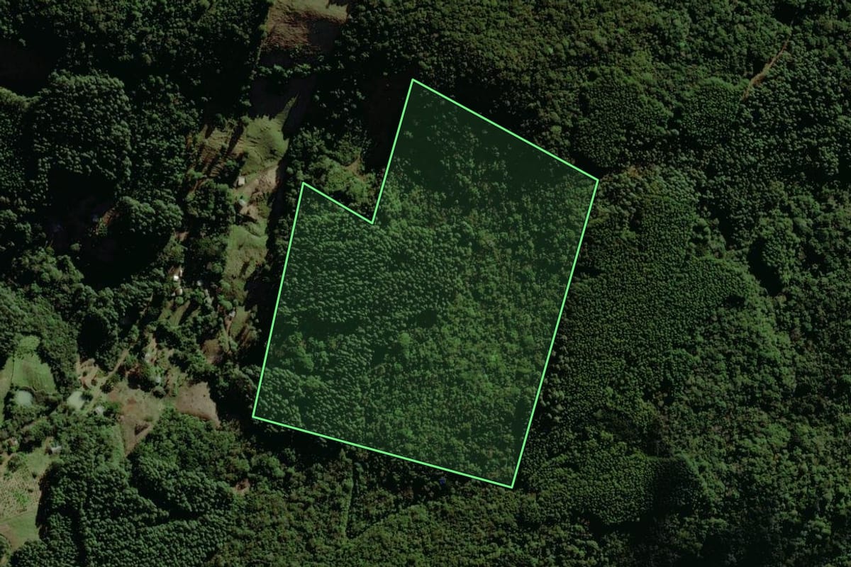 Imagem de satélite do imóvel rural em Riozinho (RS), com o contorno declarado no CAR desenhado por cima.