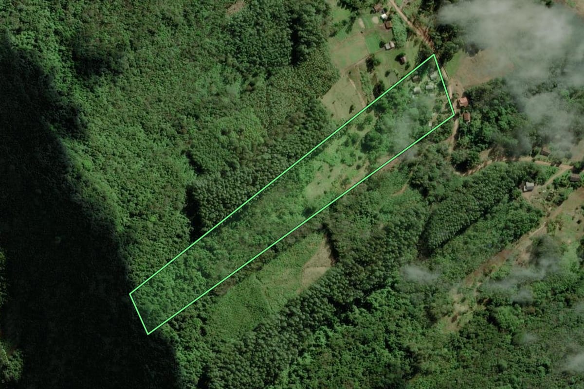 Imagem de satélite do imóvel rural em Riozinho (RS), com o contorno declarado no CAR desenhado por cima.