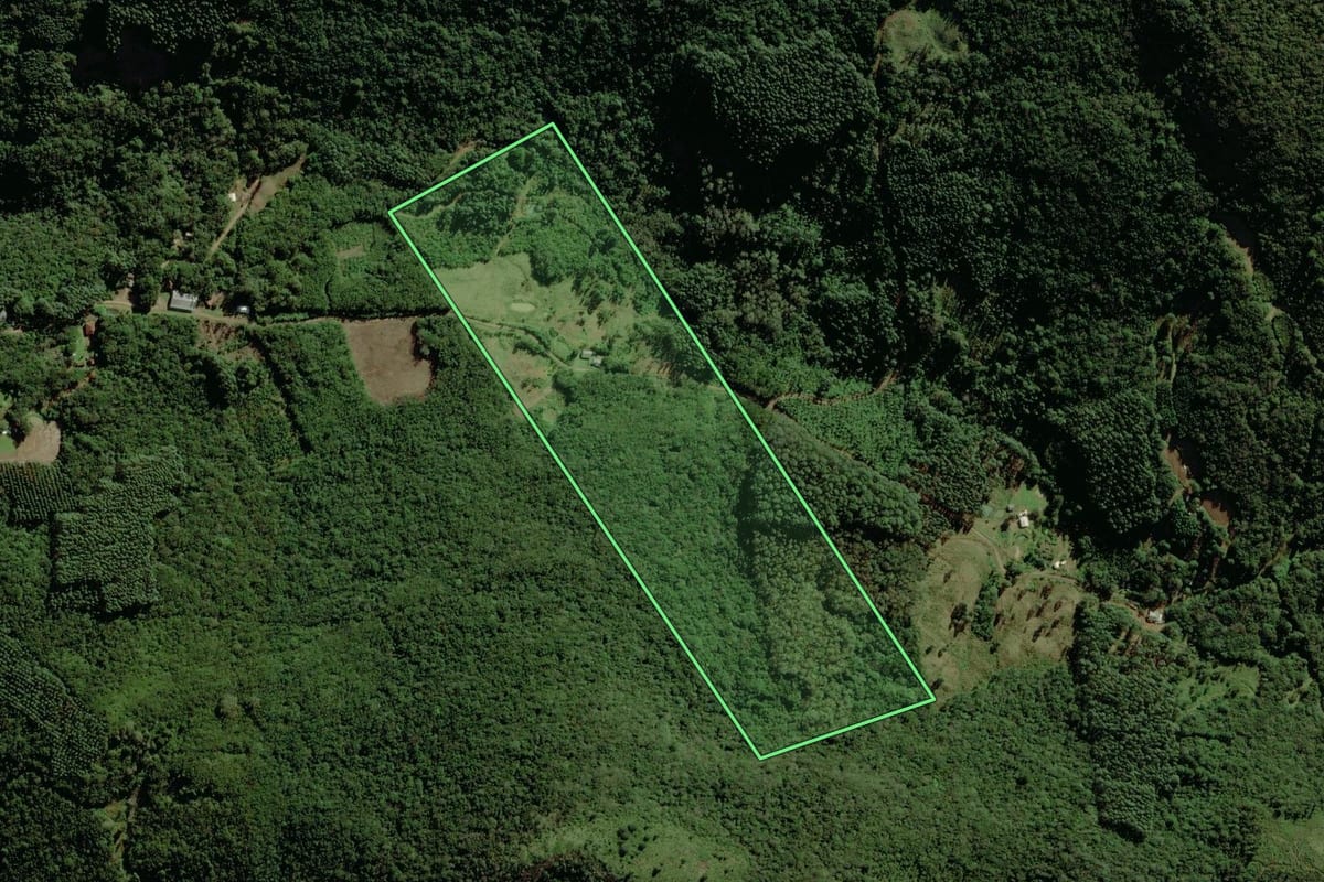 Imagem de satélite do imóvel rural em Riozinho (RS), com o contorno declarado no CAR desenhado por cima.