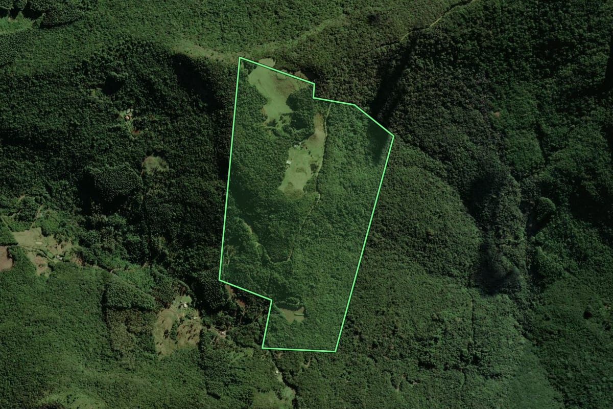 Imagem de satélite do imóvel rural em Riozinho (RS), com o contorno declarado no CAR desenhado por cima.
