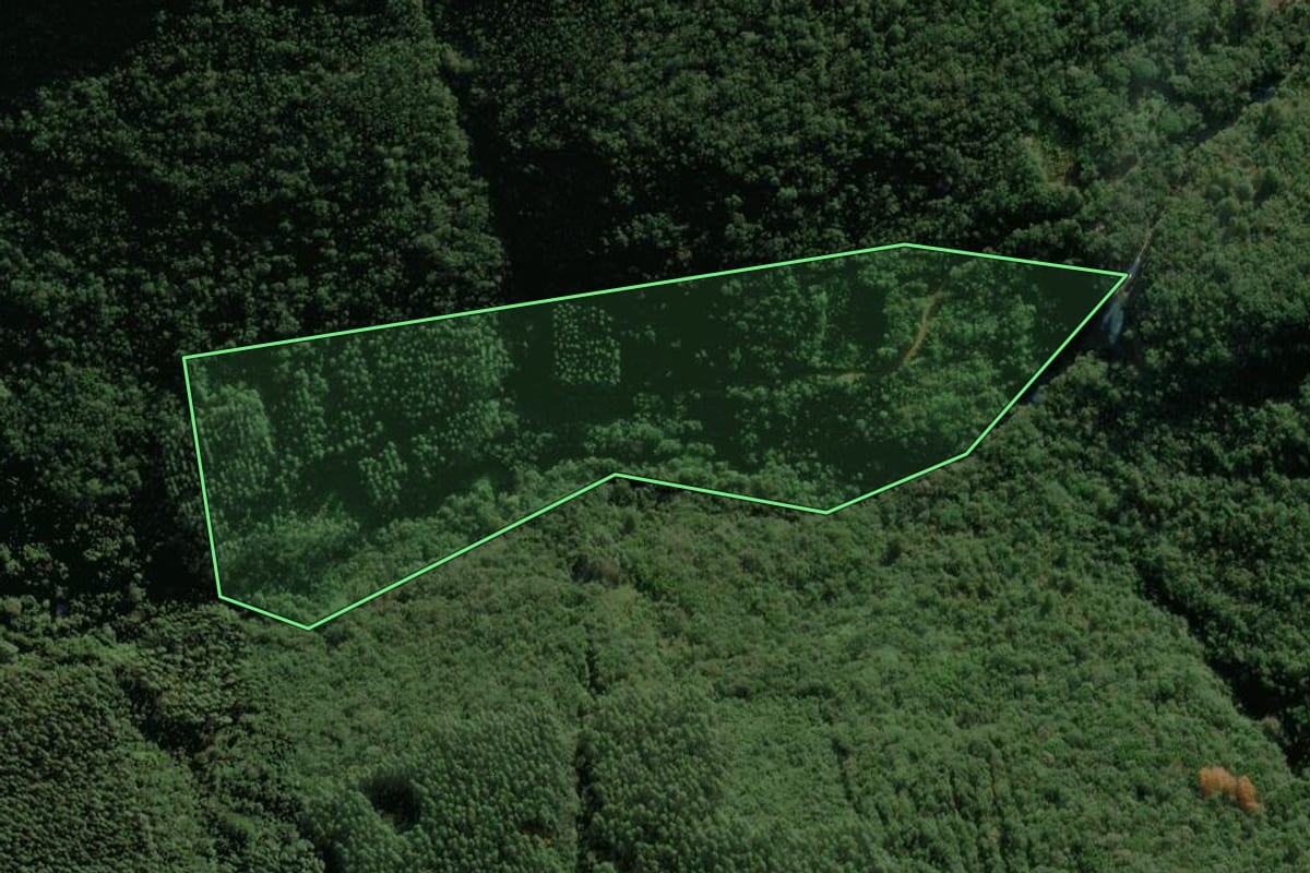 Imagem de satélite do imóvel rural em Riozinho (RS), com o contorno declarado no CAR desenhado por cima.
