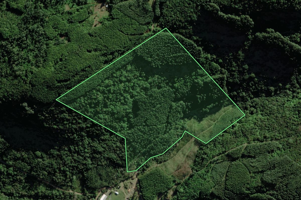 Imagem de satélite do imóvel rural em Riozinho (RS), com o contorno declarado no CAR desenhado por cima.