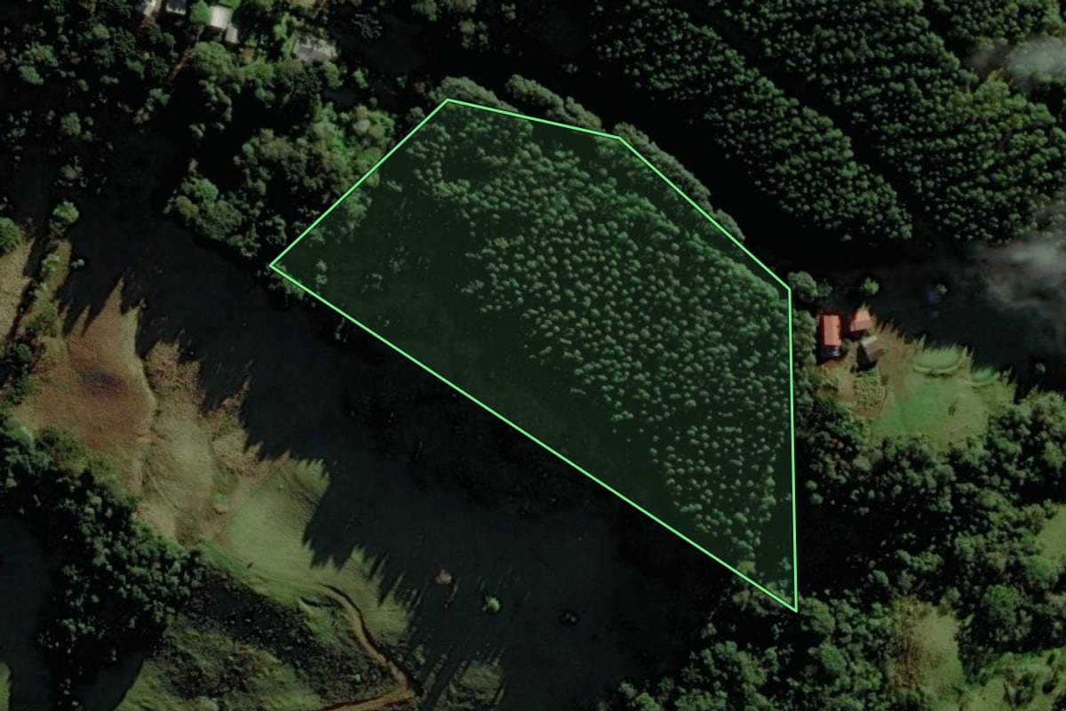 Imagem de satélite do imóvel rural em Riozinho (RS), com o contorno declarado no CAR desenhado por cima.