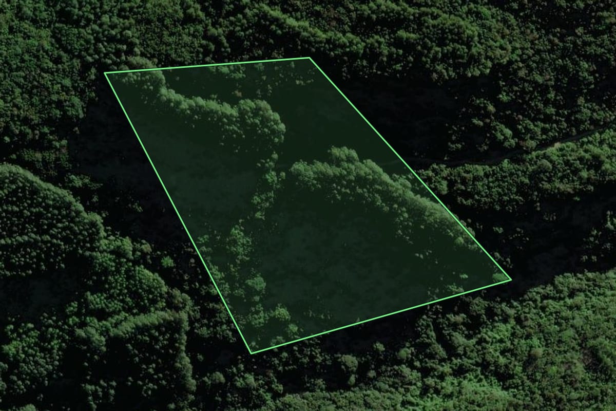 Imagem de satélite do imóvel rural em Riozinho (RS), com o contorno declarado no CAR desenhado por cima.