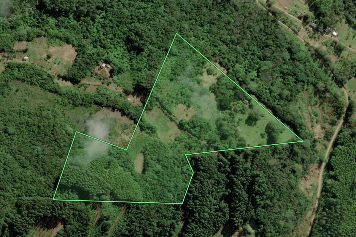 Imagem de satélite do imóvel rural em Riozinho (RS), com o contorno declarado no CAR desenhado por cima.