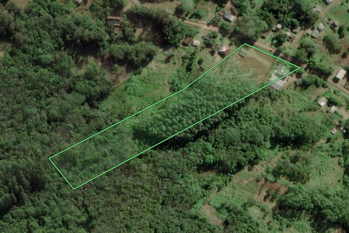 Imagem de satélite do imóvel rural em Riozinho (RS), com o contorno declarado no CAR desenhado por cima.