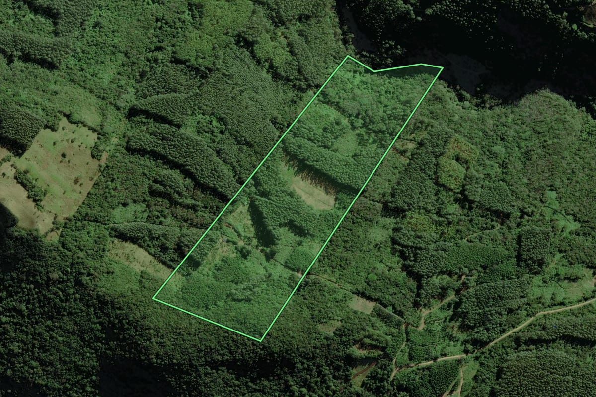 Imagem de satélite do imóvel rural em Riozinho (RS), com o contorno declarado no CAR desenhado por cima.