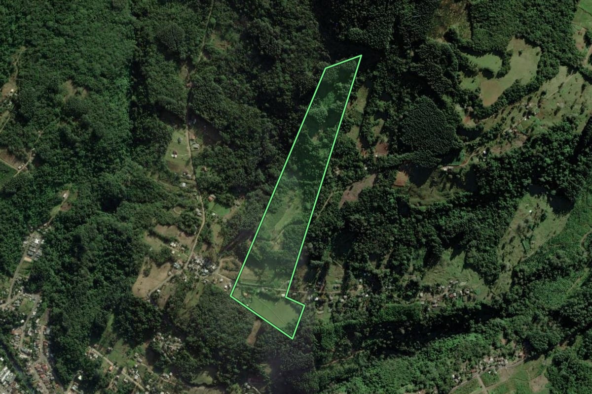 Imagem de satélite do imóvel rural em Riozinho (RS), com o contorno declarado no CAR desenhado por cima.
