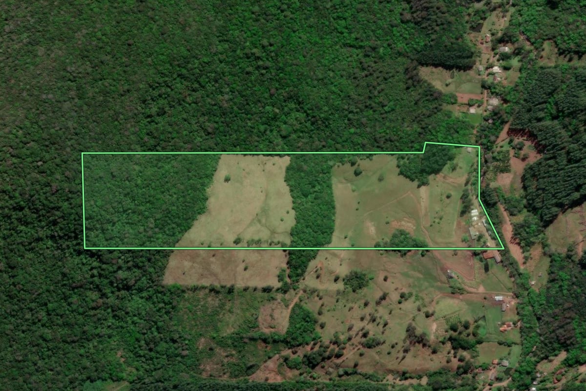 Imagem de satélite do imóvel rural em Riozinho (RS), com o contorno declarado no CAR desenhado por cima.
