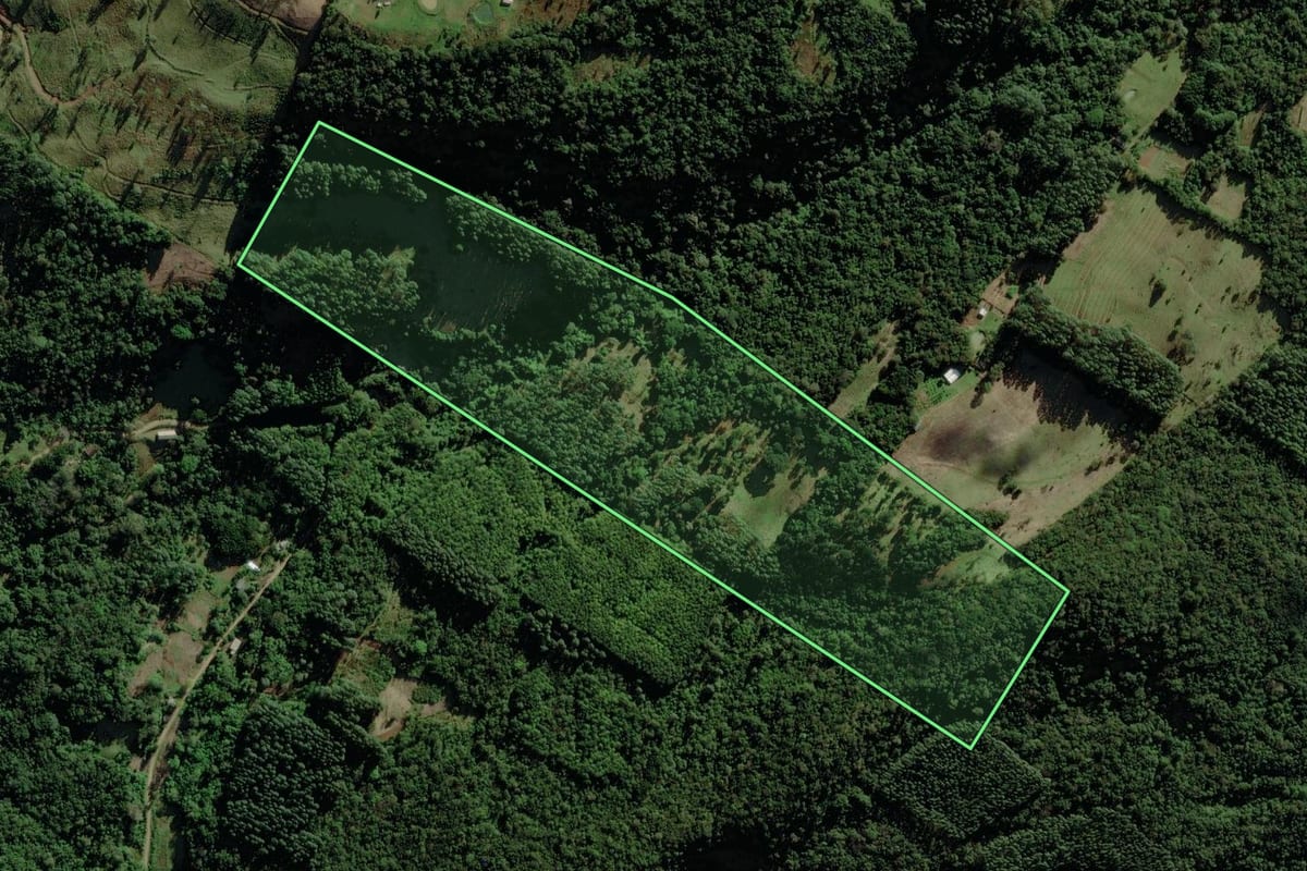 Imagem de satélite do imóvel rural em Riozinho (RS), com o contorno declarado no CAR desenhado por cima.