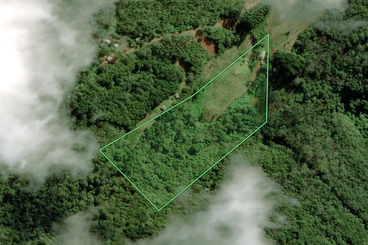 Imagem de satélite do imóvel rural em Riozinho (RS), com o contorno declarado no CAR desenhado por cima.