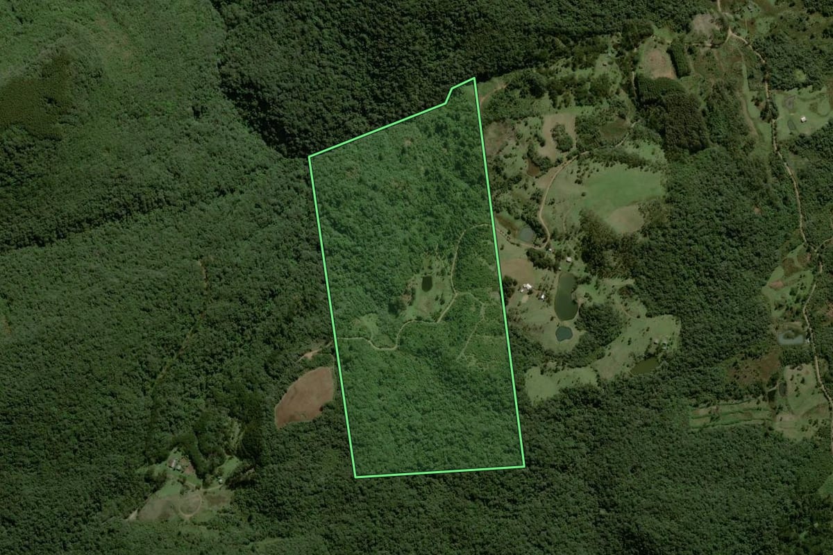 Imagem de satélite do imóvel rural em Riozinho (RS), com o contorno declarado no CAR desenhado por cima.