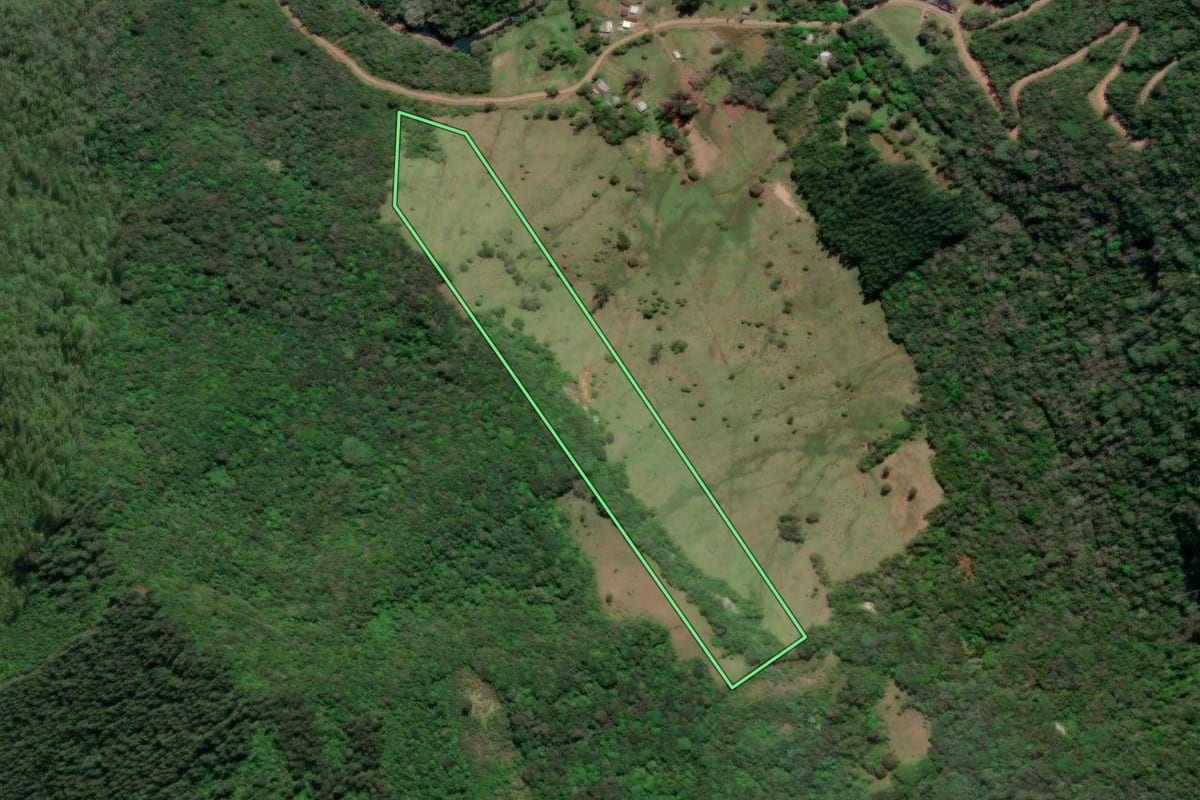 Imagem de satélite do imóvel rural em Riozinho (RS), com o contorno declarado no CAR desenhado por cima.