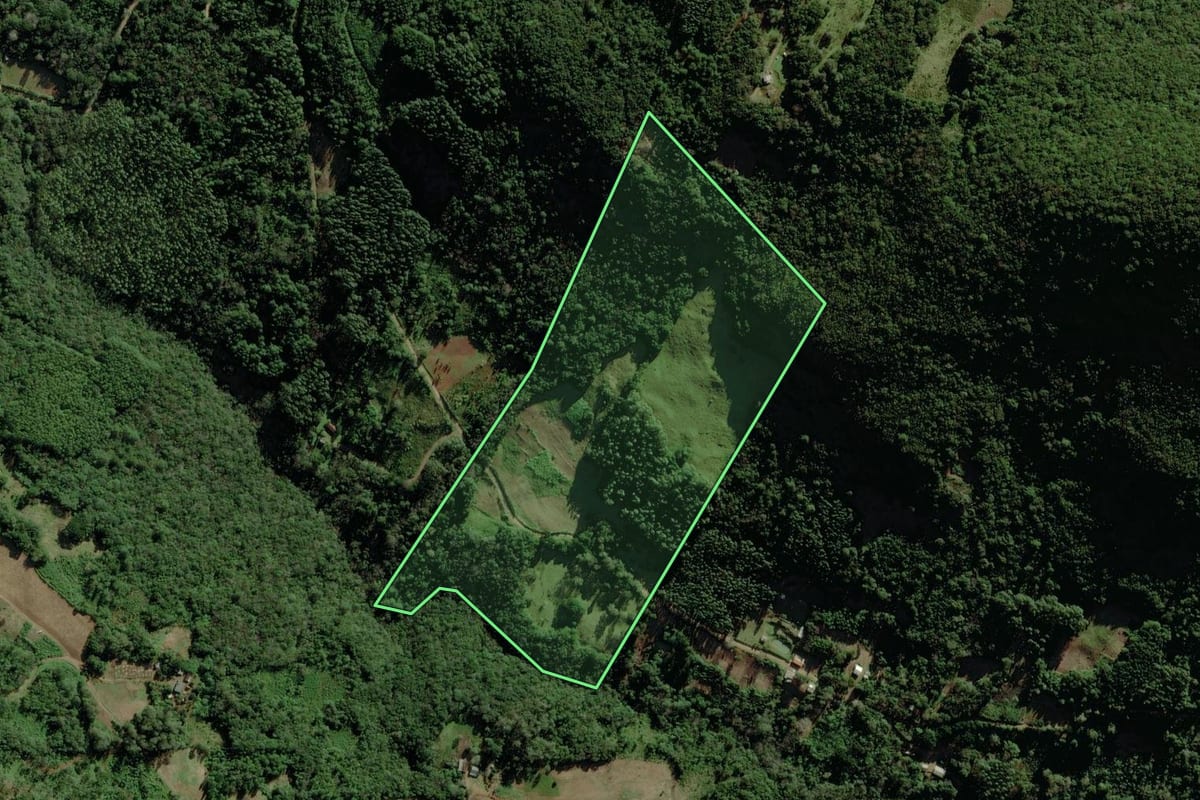 Imagem de satélite do imóvel rural em Riozinho (RS), com o contorno declarado no CAR desenhado por cima.