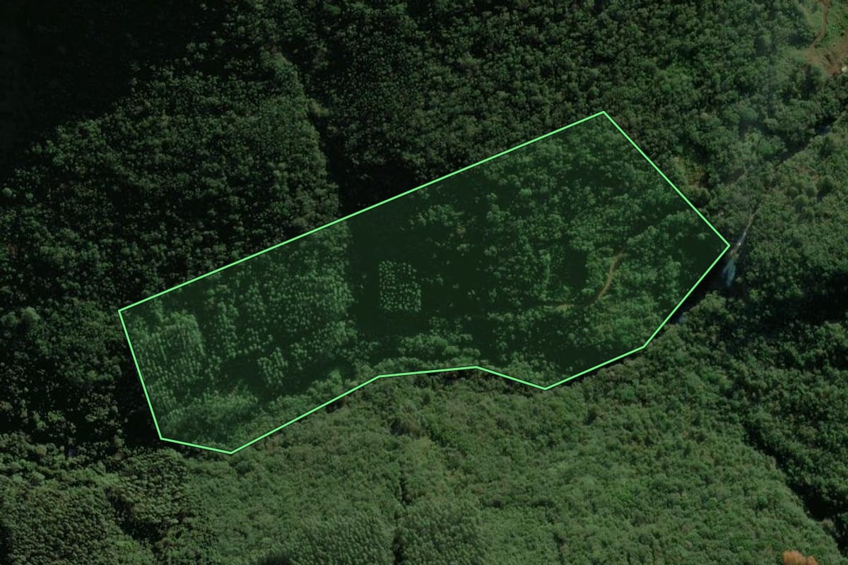 Imagem de satélite do imóvel rural em Riozinho (RS), com o contorno declarado no CAR desenhado por cima.