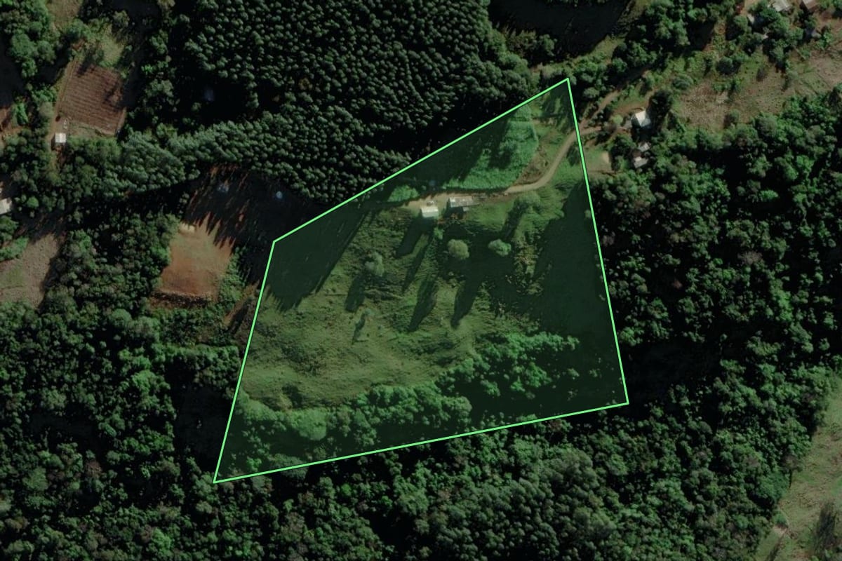 Imagem de satélite do imóvel rural em Riozinho (RS), com o contorno declarado no CAR desenhado por cima.
