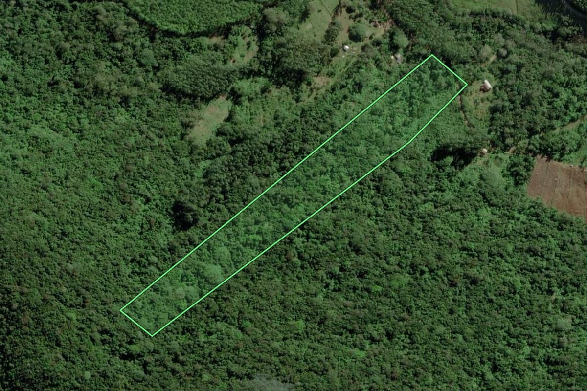 Imagem de satélite do imóvel rural em Riozinho (RS), com o contorno declarado no CAR desenhado por cima.