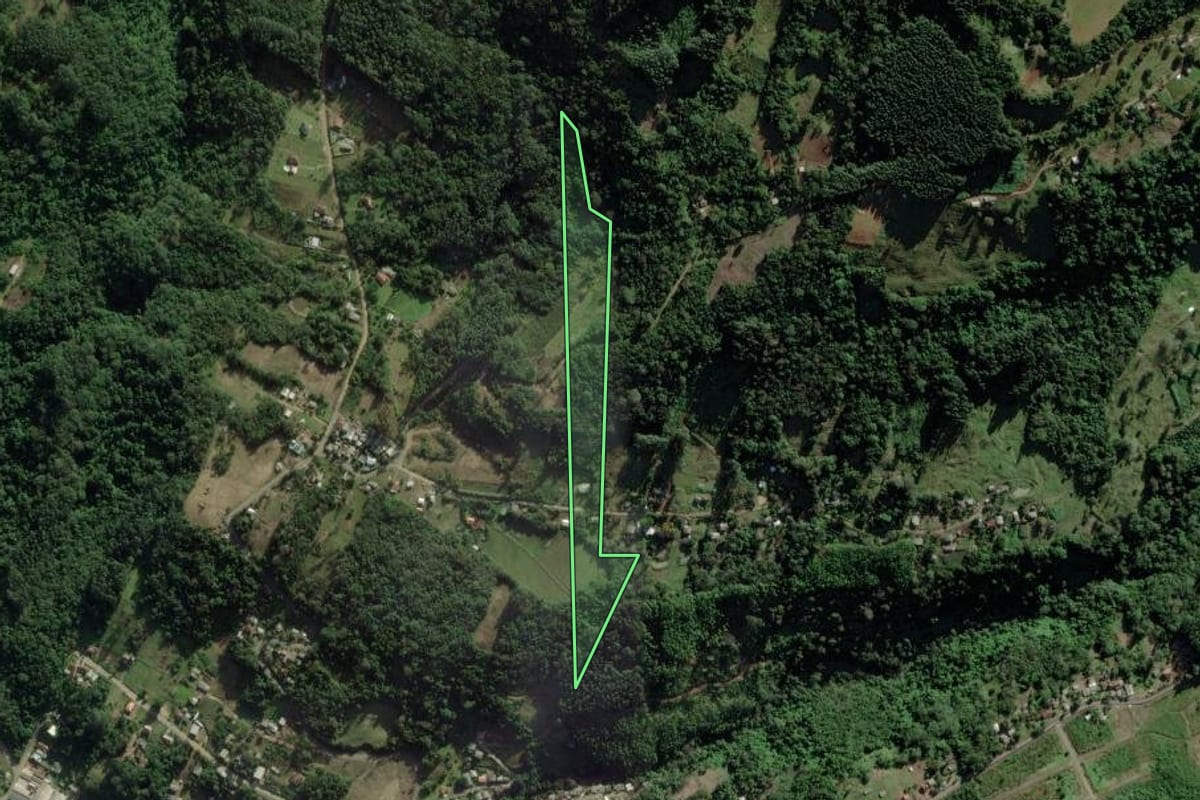 Imagem de satélite do imóvel rural em Riozinho (RS), com o contorno declarado no CAR desenhado por cima.