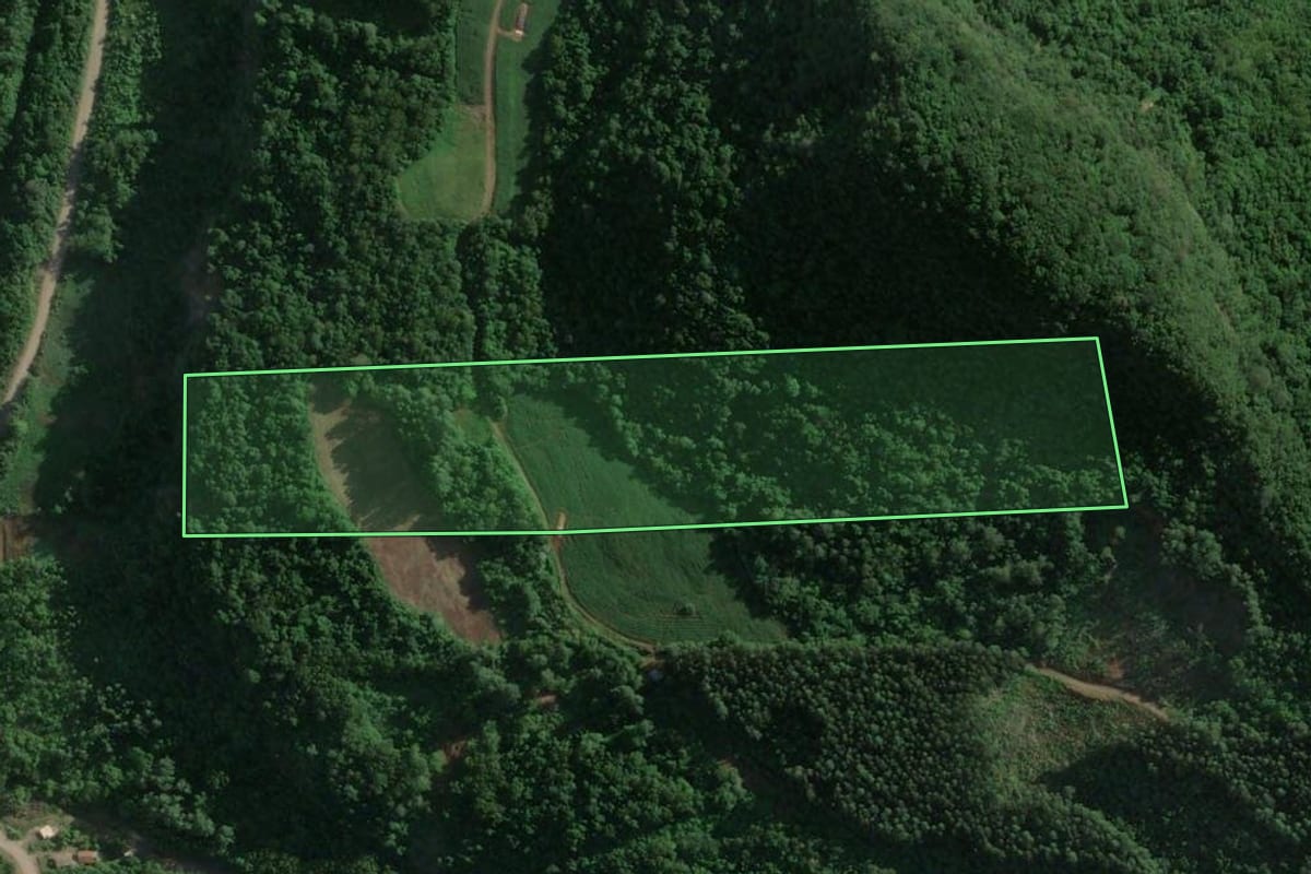 Imagem de satélite do imóvel rural em Roca Sales (RS), com o contorno declarado no CAR desenhado por cima.