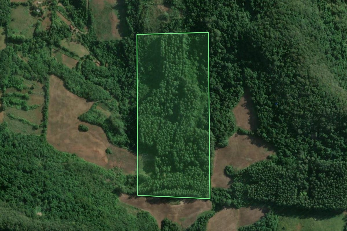 Imagem de satélite do imóvel rural em Roca Sales (RS), com o contorno declarado no CAR desenhado por cima.