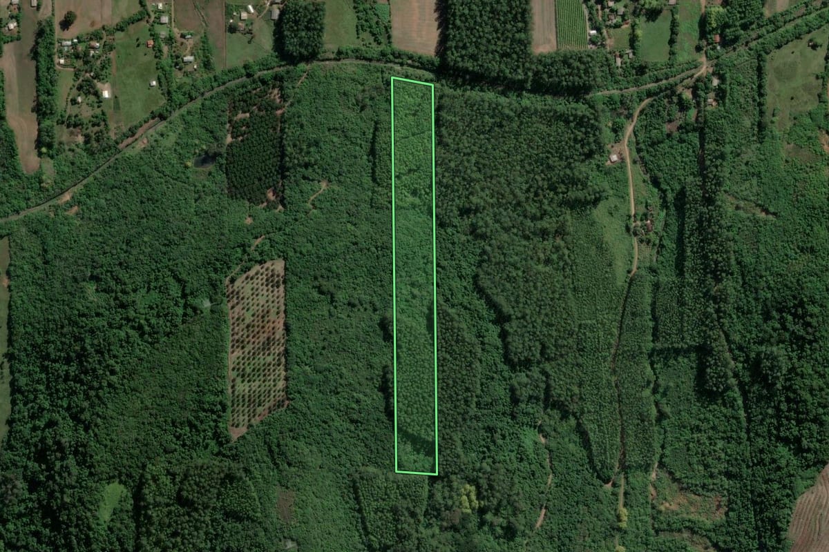 Imagem de satélite do imóvel rural em Roca Sales (RS), com o contorno declarado no CAR desenhado por cima.