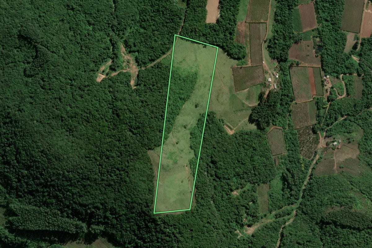 Imagem de satélite do imóvel rural em Roca Sales (RS), com o contorno declarado no CAR desenhado por cima.