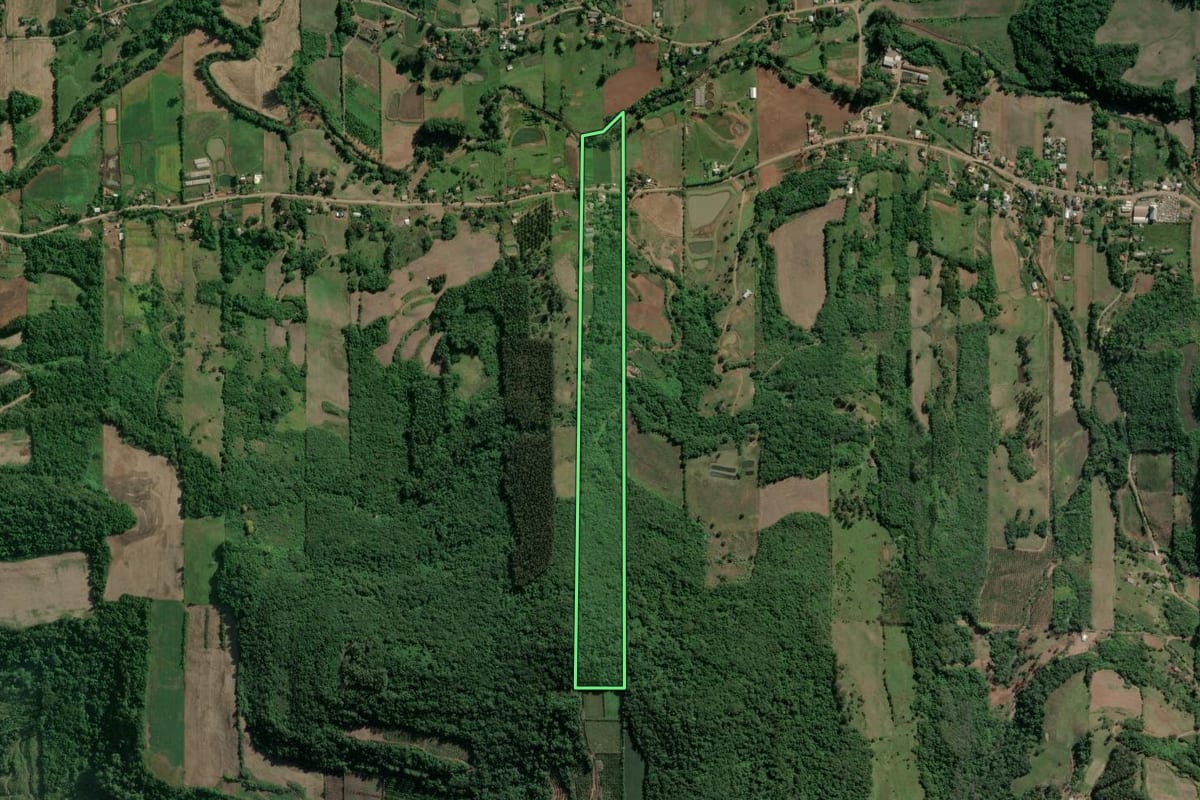 Imagem de satélite do imóvel rural em Roca Sales (RS), com o contorno declarado no CAR desenhado por cima.