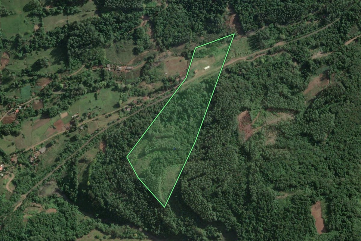 Imagem de satélite do imóvel rural em Roca Sales (RS), com o contorno declarado no CAR desenhado por cima.