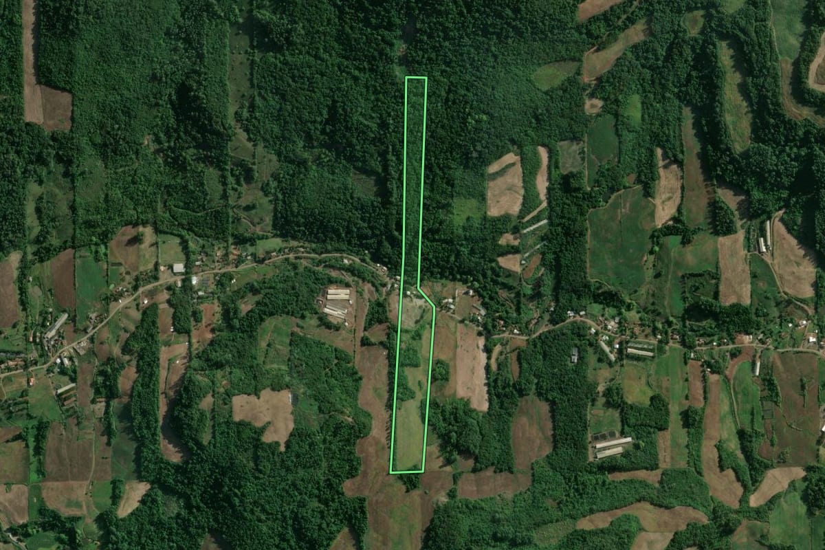 Imagem de satélite do imóvel rural em Roca Sales (RS), com o contorno declarado no CAR desenhado por cima.