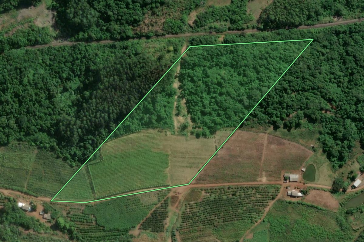 Imagem de satélite do imóvel rural em Roca Sales (RS), com o contorno declarado no CAR desenhado por cima.