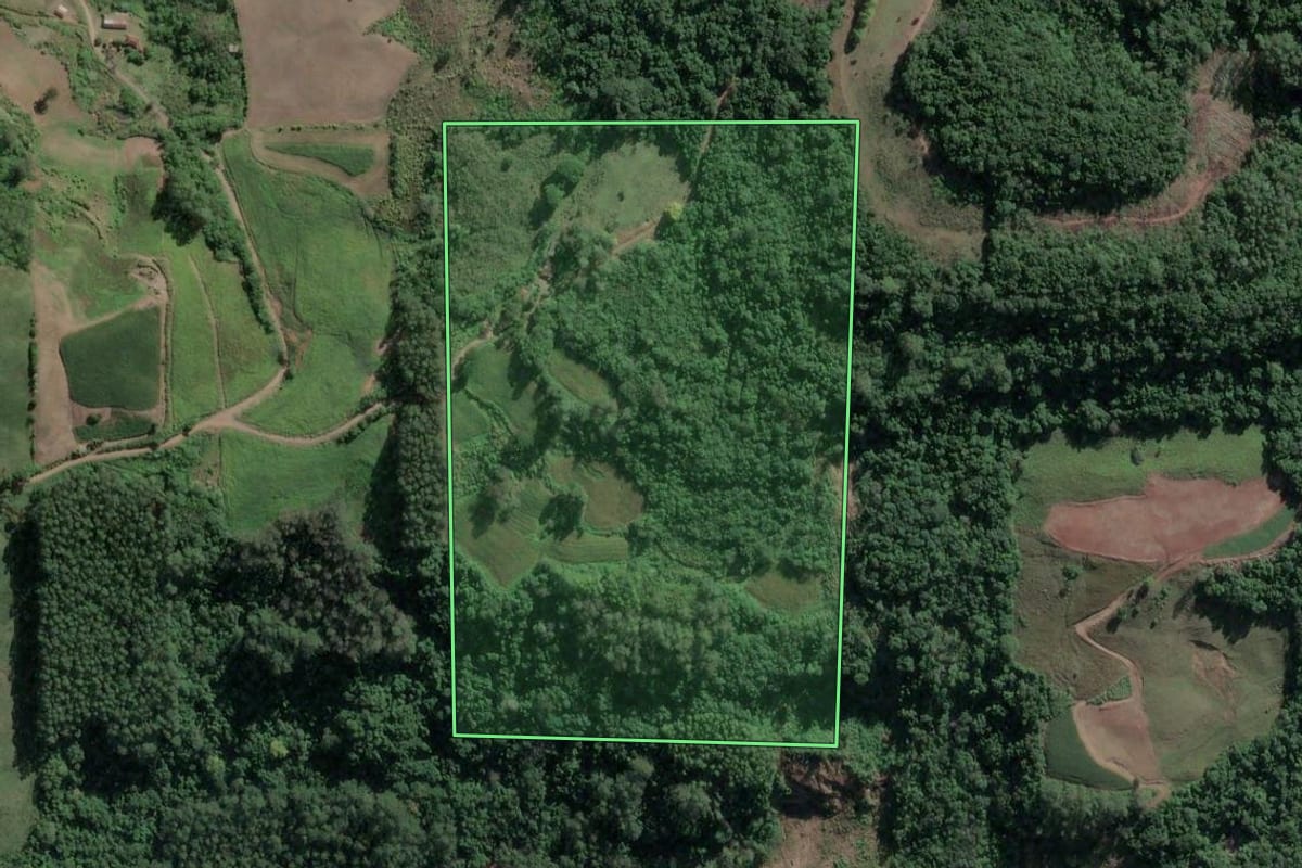Imagem de satélite do imóvel rural em Roca Sales (RS), com o contorno declarado no CAR desenhado por cima.