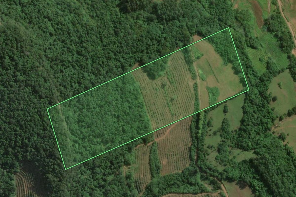 Imagem de satélite do imóvel rural em Roca Sales (RS), com o contorno declarado no CAR desenhado por cima.