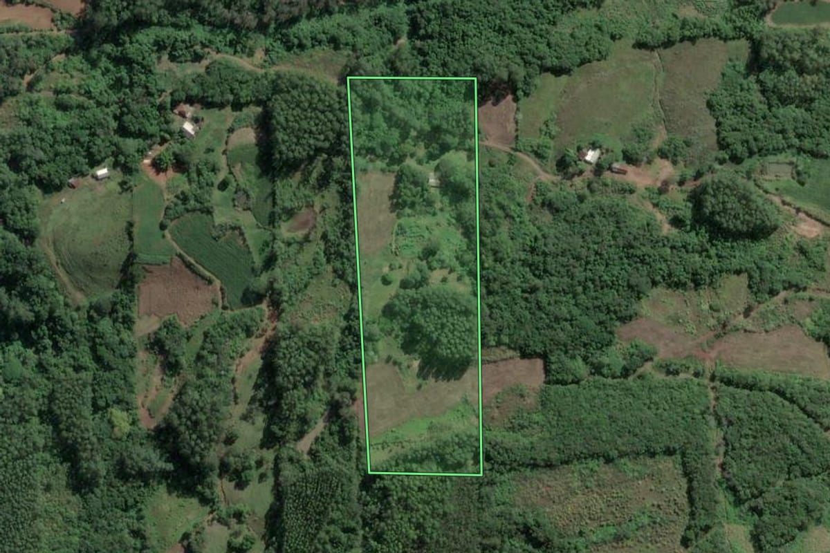 Imagem de satélite do imóvel rural em Roca Sales (RS), com o contorno declarado no CAR desenhado por cima.