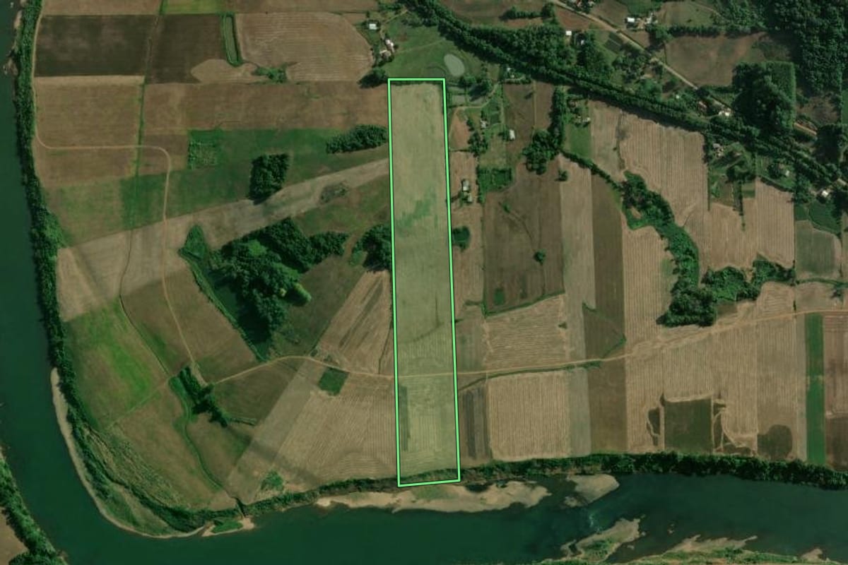 Imagem de satélite do imóvel rural em Roca Sales (RS), com o contorno declarado no CAR desenhado por cima.