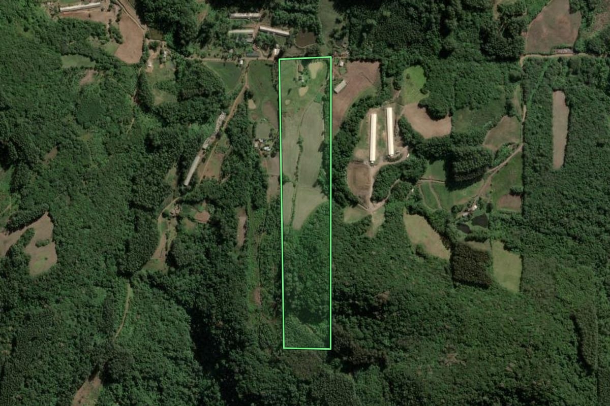 Imagem de satélite do imóvel rural em Roca Sales (RS), com o contorno declarado no CAR desenhado por cima.