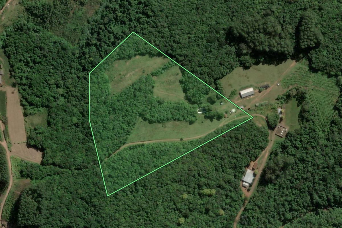 Imagem de satélite do imóvel rural em Roca Sales (RS), com o contorno declarado no CAR desenhado por cima.