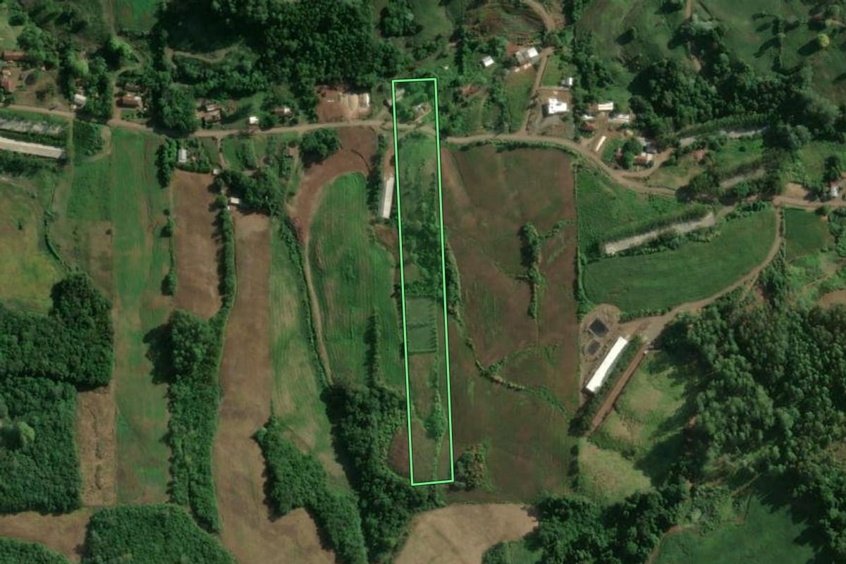 Imagem de satélite do imóvel rural em Roca Sales (RS), com o contorno declarado no CAR desenhado por cima.