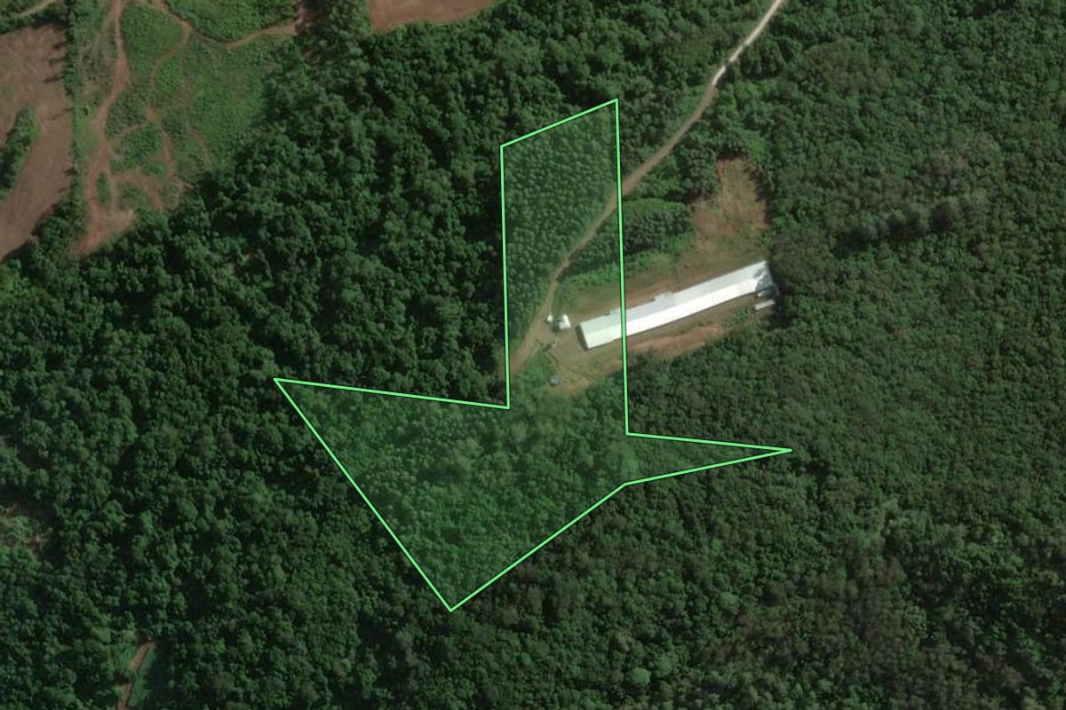 Imagem de satélite do imóvel rural em Roca Sales (RS), com o contorno declarado no CAR desenhado por cima.