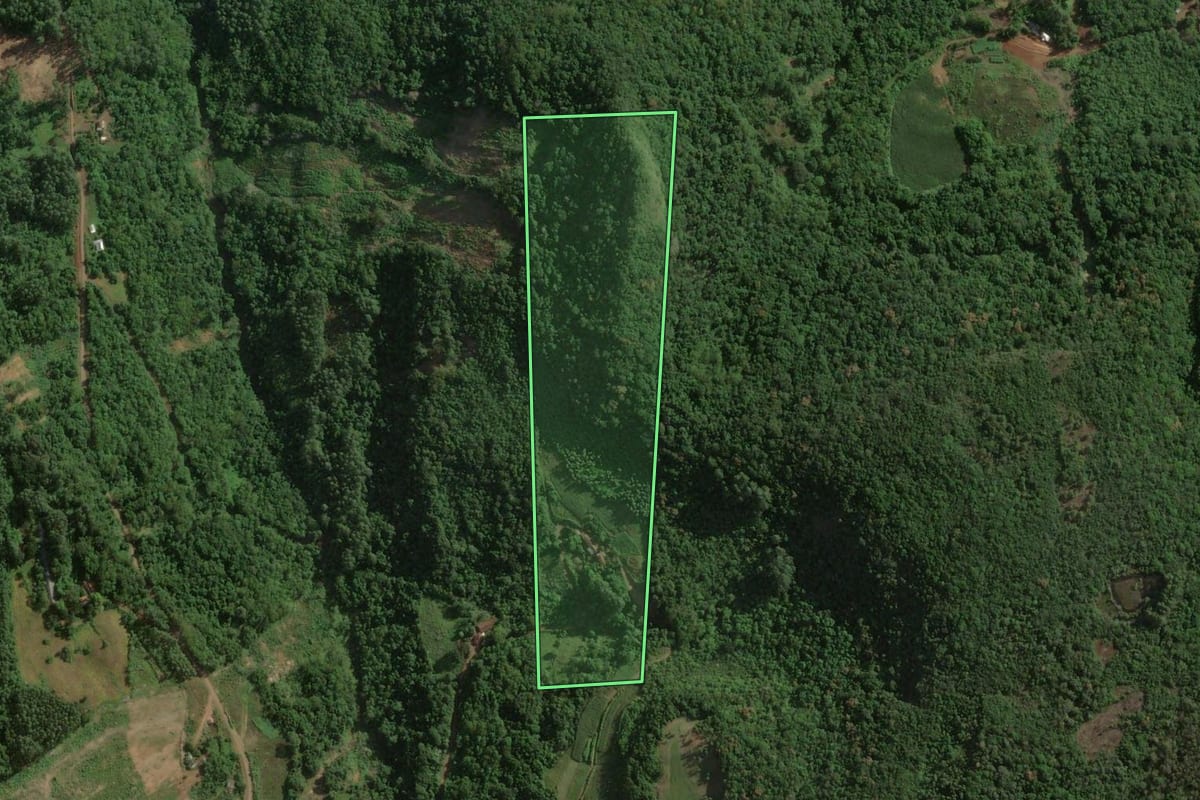 Imagem de satélite do imóvel rural em Roca Sales (RS), com o contorno declarado no CAR desenhado por cima.