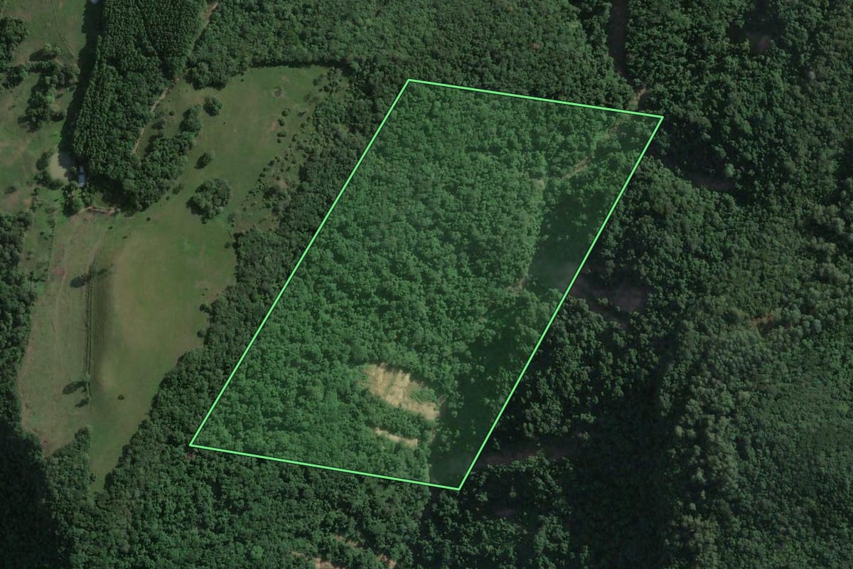 Imagem de satélite do imóvel rural em Roca Sales (RS), com o contorno declarado no CAR desenhado por cima.