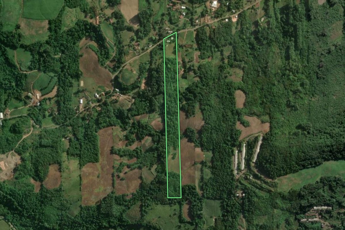 Imagem de satélite do imóvel rural em Roca Sales (RS), com o contorno declarado no CAR desenhado por cima.