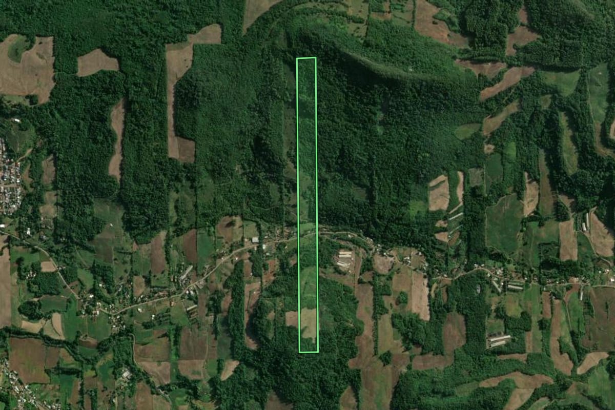 Imagem de satélite do imóvel rural em Roca Sales (RS), com o contorno declarado no CAR desenhado por cima.
