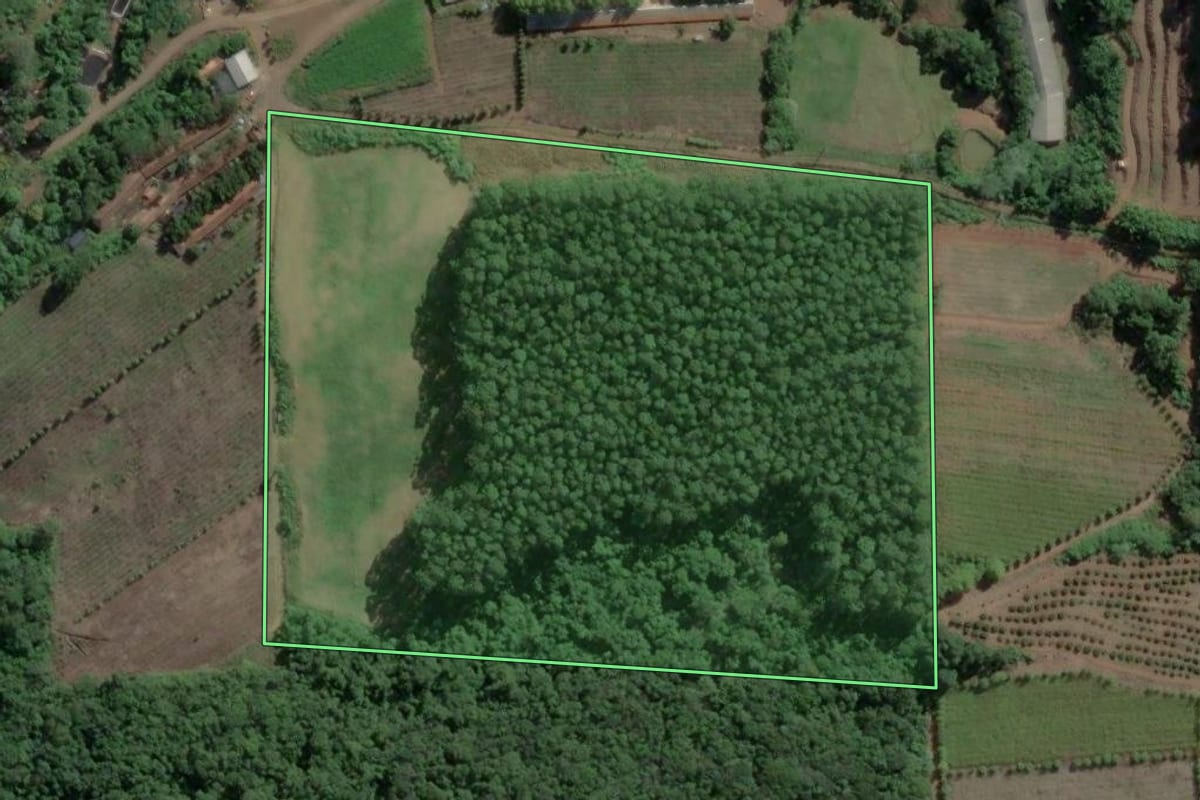 Imagem de satélite do imóvel rural em Roca Sales (RS), com o contorno declarado no CAR desenhado por cima.
