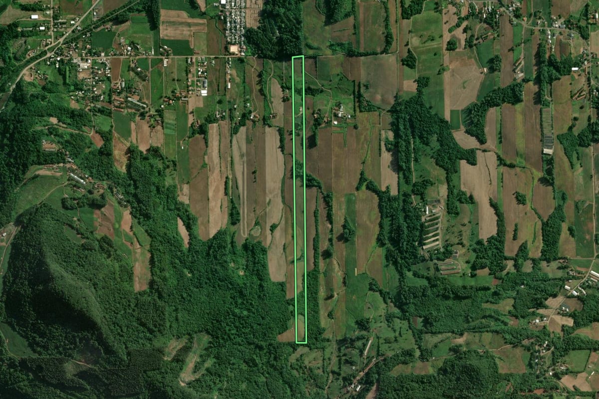 Imagem de satélite do imóvel rural em Roca Sales (RS), com o contorno declarado no CAR desenhado por cima.