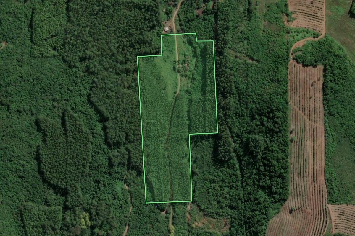 Imagem de satélite do imóvel rural em Roca Sales (RS), com o contorno declarado no CAR desenhado por cima.