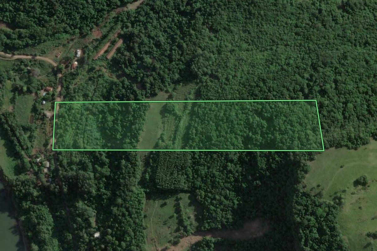 Imagem de satélite do imóvel rural em Roca Sales (RS), com o contorno declarado no CAR desenhado por cima.